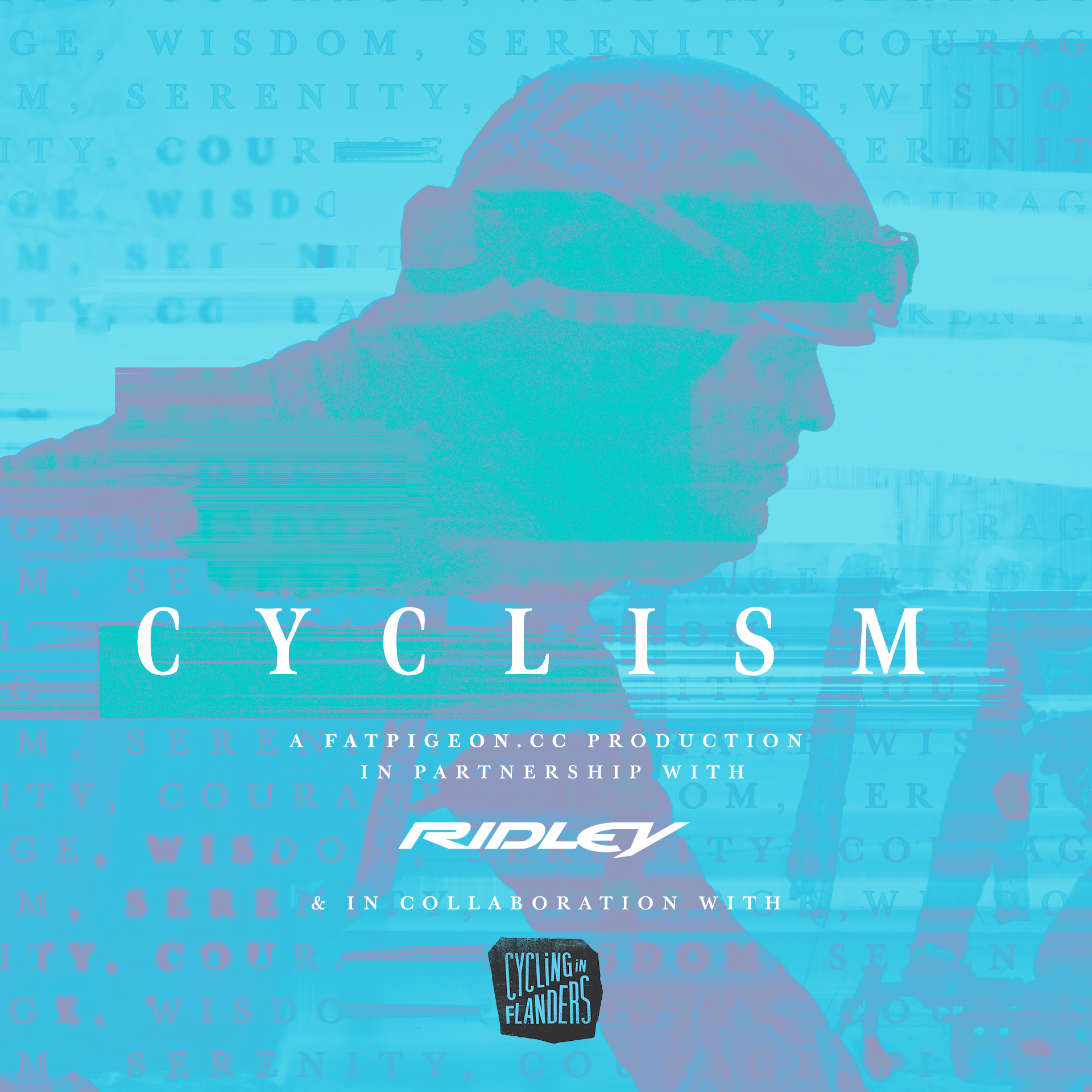 Cyclism; serenity, acceptance, courage - Fatpigeon